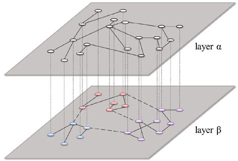 Color Online Schematic Illustration Of The Multiplex Network With M