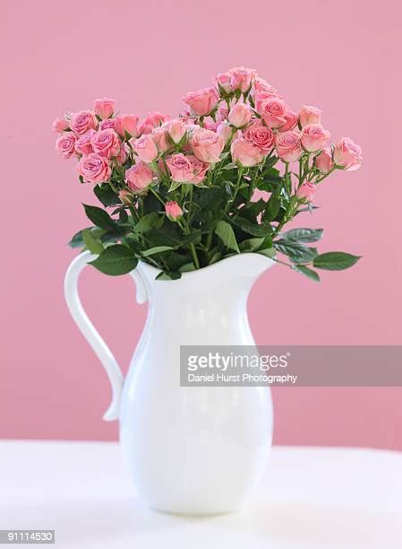 Pitchers Of Roses Photos And Premium High Res Pictures Getty Images