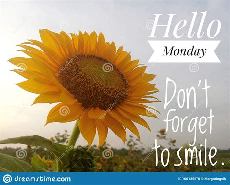 Inspirational Quote Hello Monday Do Not Forget To Smile With