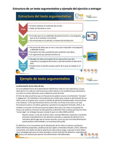 Ejemplo Formato Planeaci N Y Borrador Del Texto Argumentativo By Tigi