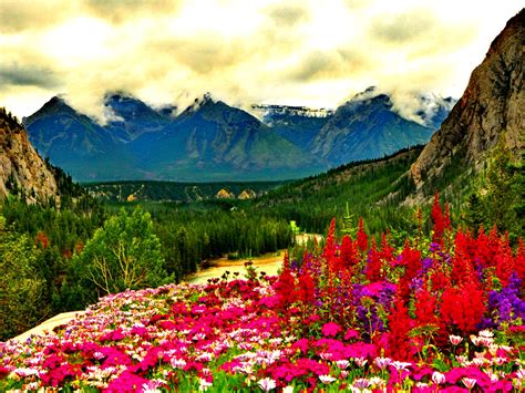 35 Spring Mountain Scenes Wallpapers Wallpapersafari