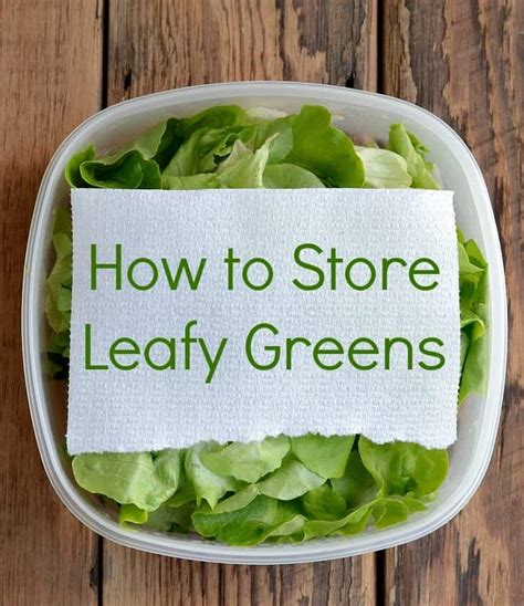 How To Store Leafy Greens