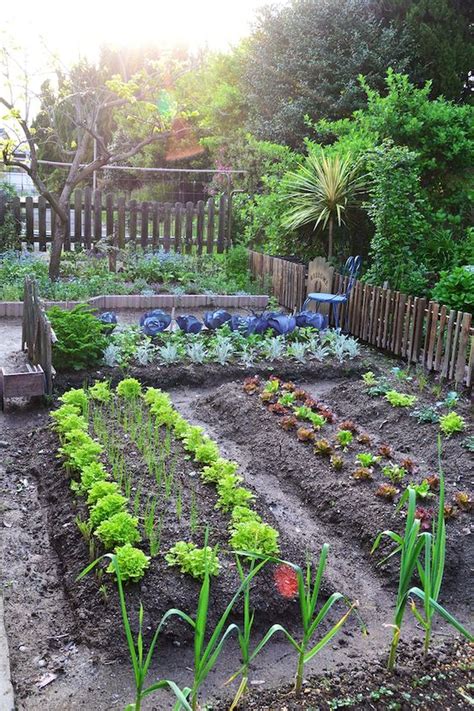 40 Stunning Vegetable Garden Design Ideas Perfect For Destiné