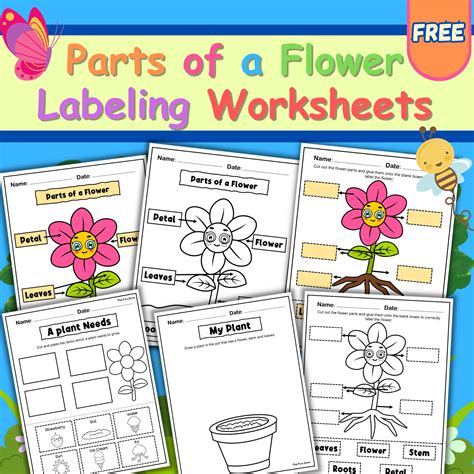 Parts Of A Flower Labeling Worksheets Cut And Paste Spring Activities