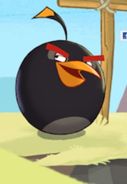 Angry Birds Toons On Toonstv Tv Show Episodes Reviews And List