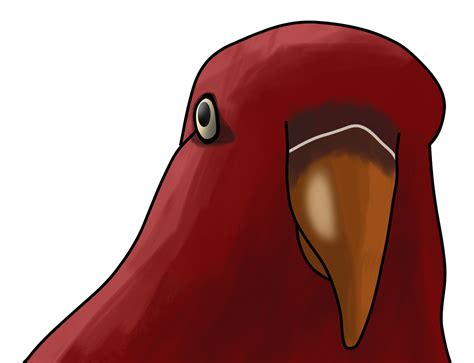 Red Bird Meme In Digital Ver By Xxheavy Swagxx On Deviantart