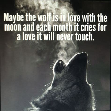 25 Bästa Wolf Quotes Idéerna På Pinterest
