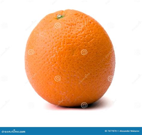 One Orange Isolated On White Stock Photo Image Of Isolated Fruit