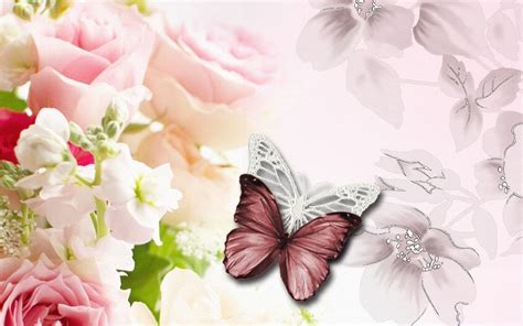 Butterfly And Flower Wallpapers Wallpaper Cave