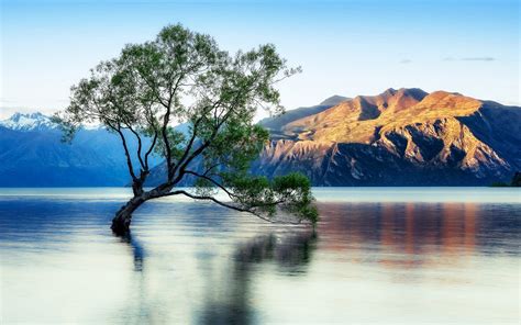 If you're in search of the best best background wallpaper, you've come to the right place. Lake Wanaka Beautiful Reflection New Zealand Wallpaper For ...