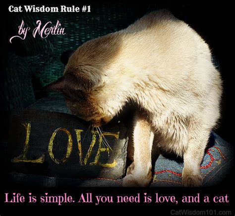 Cat Love Quotes Quotesgram
