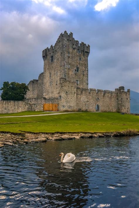Ross Castle Killarney Kerry Ireland Medieval Birds Reflection Swan Lake