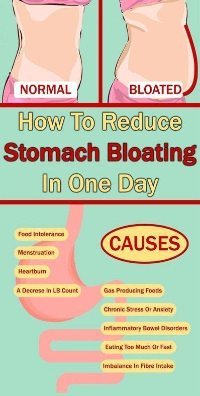 How To Reduce Bloating Complete Howto Wikies