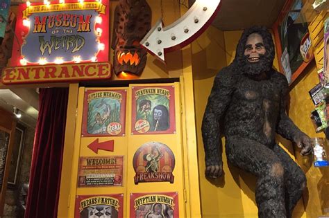 Obscure America The Strangest Museums In The Usa