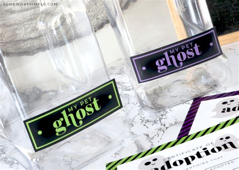 Pet Ghost Creative Halloween Craft Somewhat Simple Kids