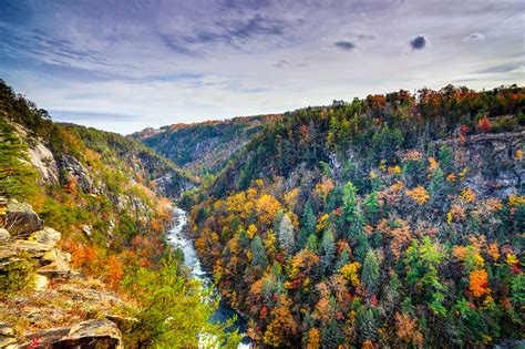 How To Experience The Best Of Georgias Beautiful Fall Colors