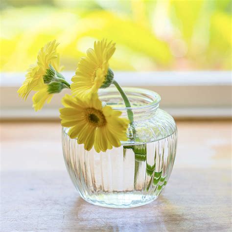 vase ~ sweetie ribbed bubble vase ~ next day flower delivery uk