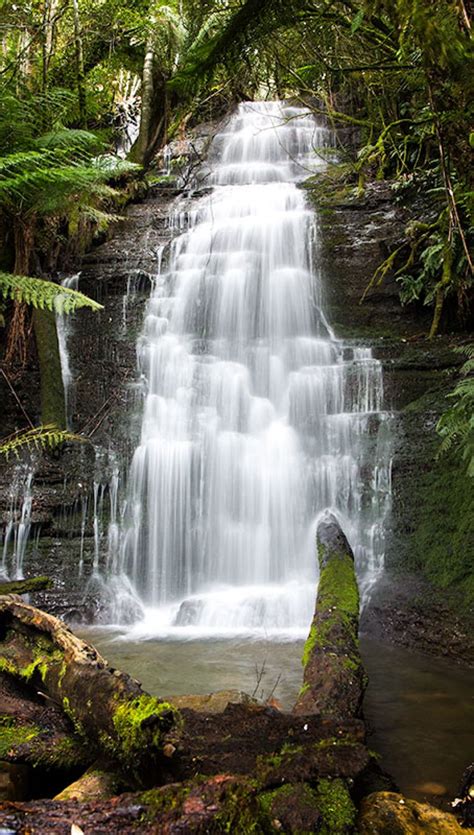 Westmoreland Falls Mole Creek Tasmania A Stunning Waterfall In A