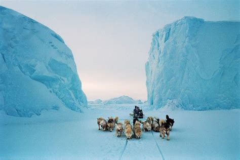 How Inuit Artists Express Climate Change Swi Swissinfoch