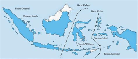 Keanekaragaman Hayati Indonesia Materi Dan Soal Biologi