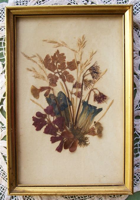 Pair Of Framed Dried Flowers