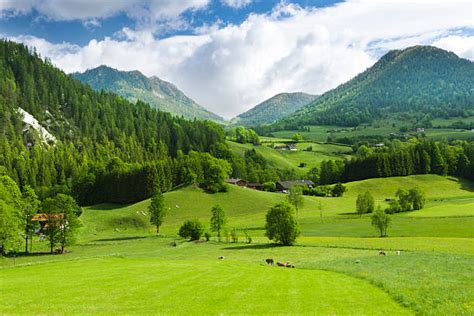 807900 Green Valley Stock Photos Pictures And Royalty Free Images Istock