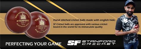 Sf Cricket Buy Sf Bats And Cricket Equipments Online