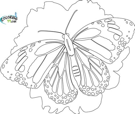 Add color to really make her pop. Butterfly Coloring Pages | Team colors