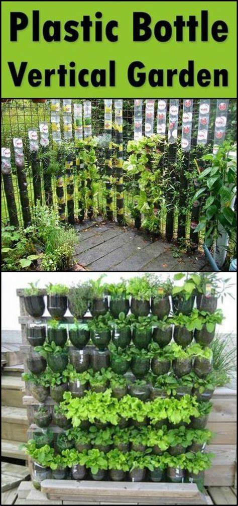 Diy Vertical Garden Ideas For Indoors And Outdoors