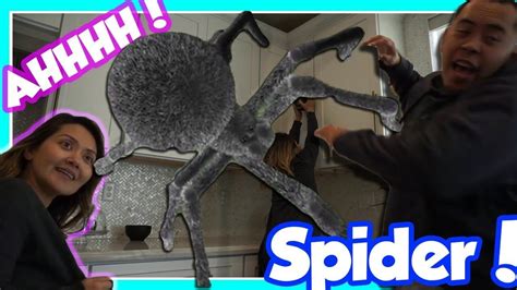 scary prank videos funny scary pranks huge spiders spiders scary flower decorations scared