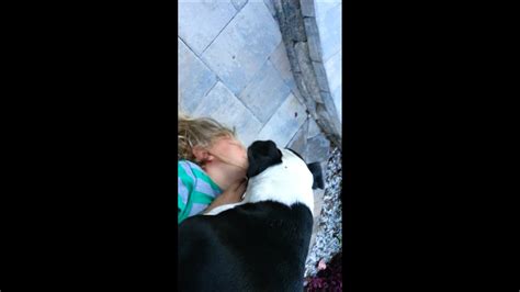 Dog Making Out With Child Youtube