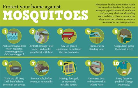 10 Tips For Reducing Mosquito Populations Around Your Home