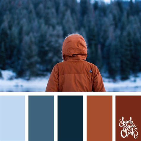 25 Winter Color Palettes Inspiring Color Schemes By Sarah Renae Clark