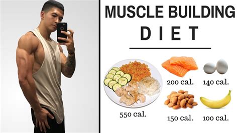 The Best Science Based Diet To Build Lean Muscle All Meals Shown
