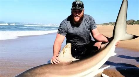 Former Shark Saves Actual Shark — The Daily Jaws