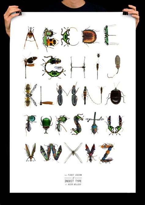 Insect Type By Asier Belloso Animal Alphabet Letters Fancy Letters