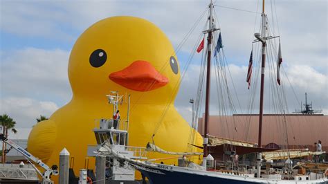 Worlds Largest Rubber Duck Everything You Wanted To Know About Selfie
