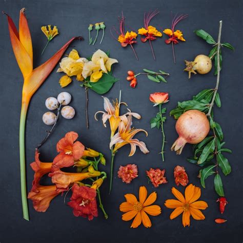 Perfectly Arranged With Natural Objects Photography Ideas By Emily Blincoe