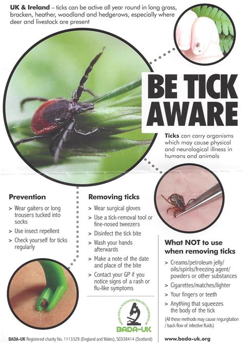 I just pulled a dead tick off of my left shoulder. Be Tick Aware, how to prevent tick bites while out walking ...