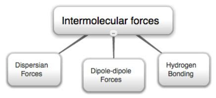 Isotropic interactions, that is, c⋯c, c⋯h, h⋯h interactions, which define the shape, size, and close packing in the structure. Concept Map - Intermolecular forces