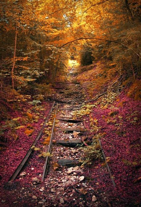 Abandoned Railroad In The Fall Pictures Photos And Images For
