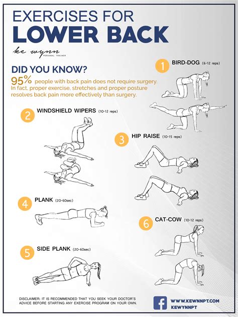But it doesn't have to be that way. Exercises for Lower Back | Ke Wynn Medical Fitness Center ...