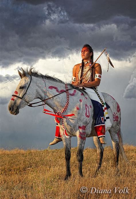 Handsome Warrior Native American Horses Native American Images