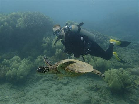 2023 Scuba Diving In Hanauma Bay Reserve Now