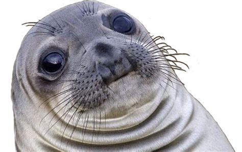 [request] do something with this seal. :) : HybridAnimals png image