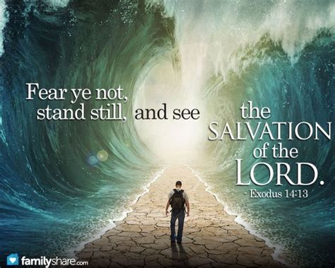 Exodus 1413 14 Esv 13 And Moses Said To The People “fear Not Stand