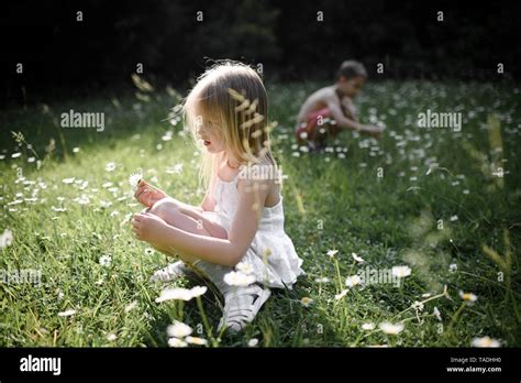 Two Children Picking Flowers In Field Stock Photo Alamy