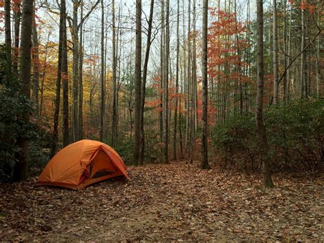 Outstanding Campgrounds Around Asheville North Carolina