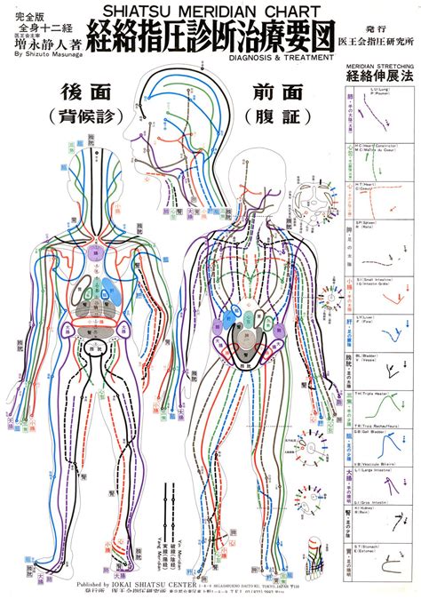 Shiatsu Meridian Chart By Masunaga Shiatsu And Mtc Pinterest Reflexology Ayurveda And Chakras