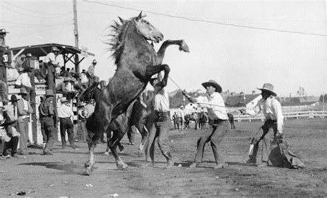 100 Years Back Rodeo Innovator From Southern Alberta — Galt Museum